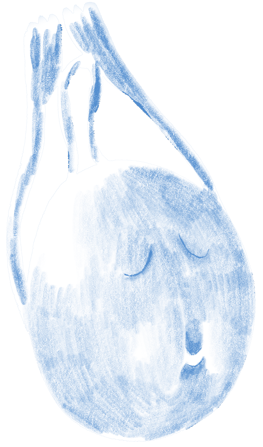 Viljan Träningsklubb